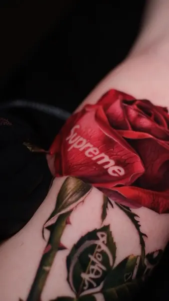 Flower, Rose
