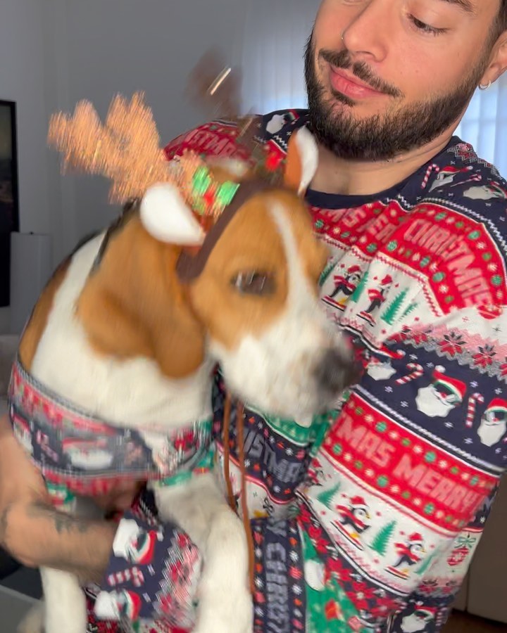 Animal