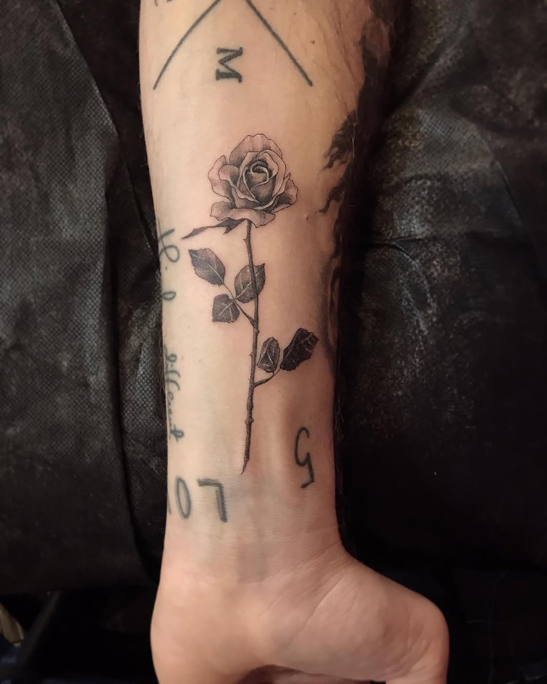 Flower, Rose