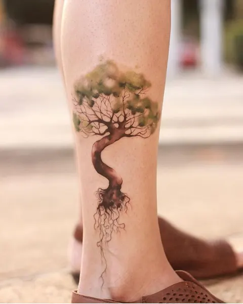 Nature, 뿌리, 나무, 덩굴, 올리브 가지, 소나무, 야자수, 나뭇가지