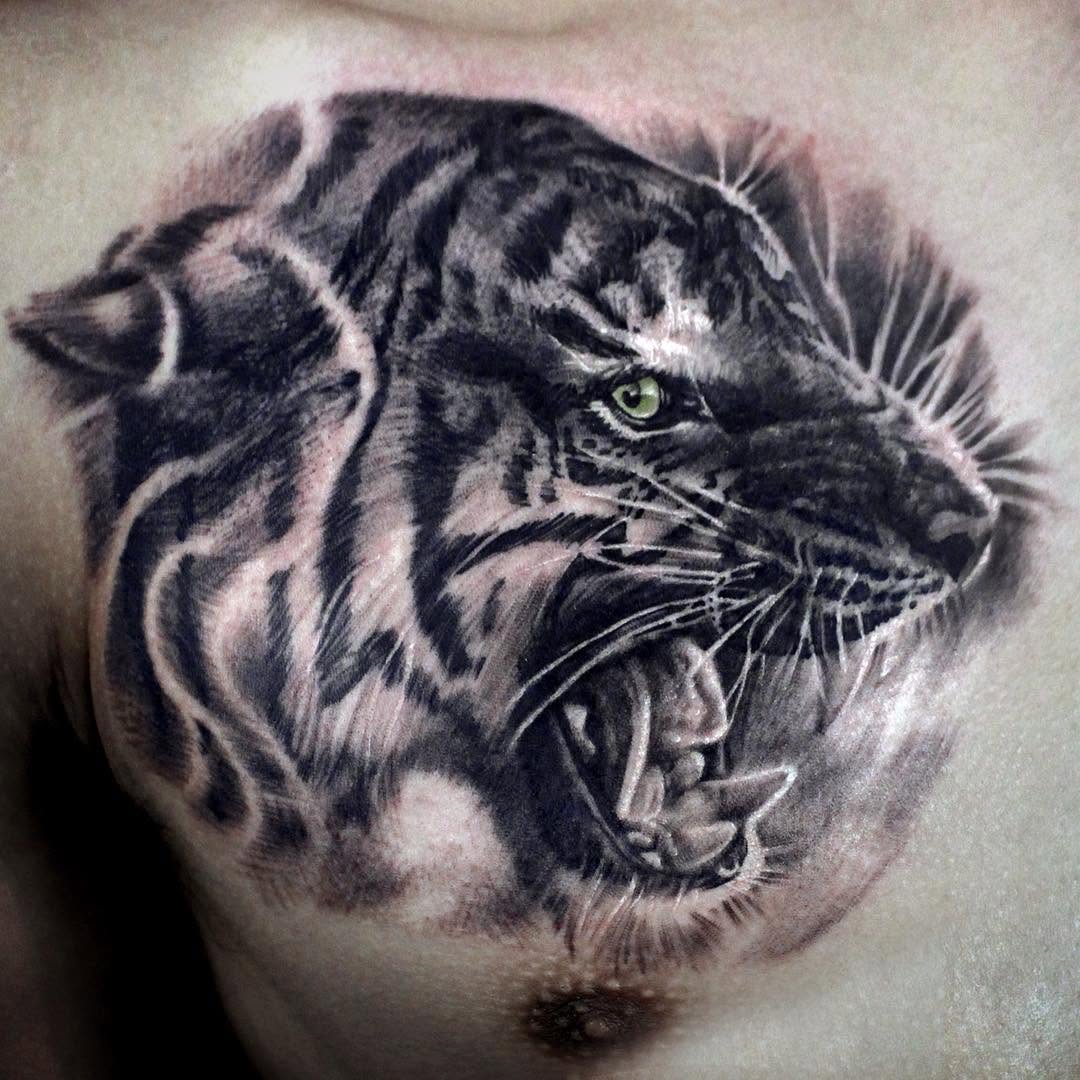 Tiger, 중국 호랑이, 한국 호랑이