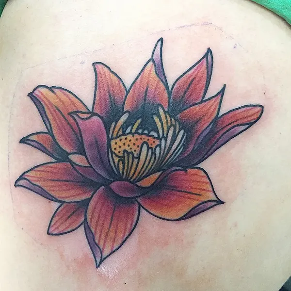 Flower, 백합, 연꽃