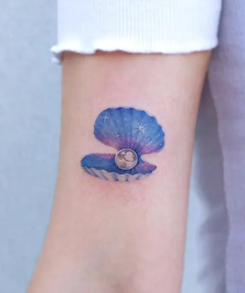 바다거북, 거북이
