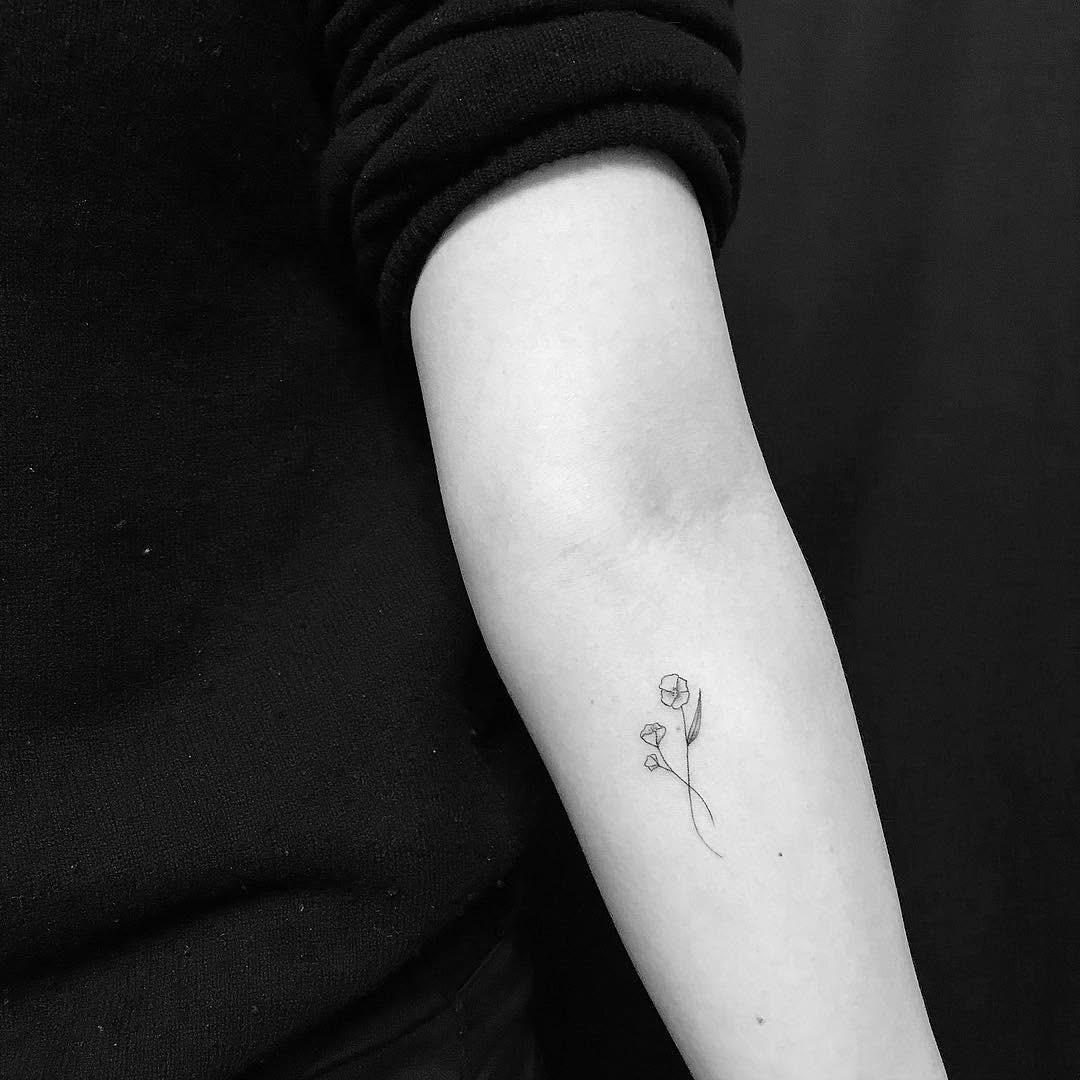 Flower, Lettering, Rose