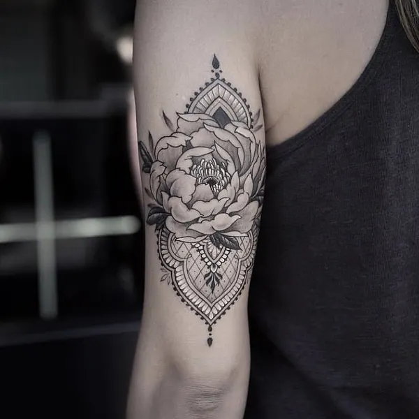 Flower, Rose
