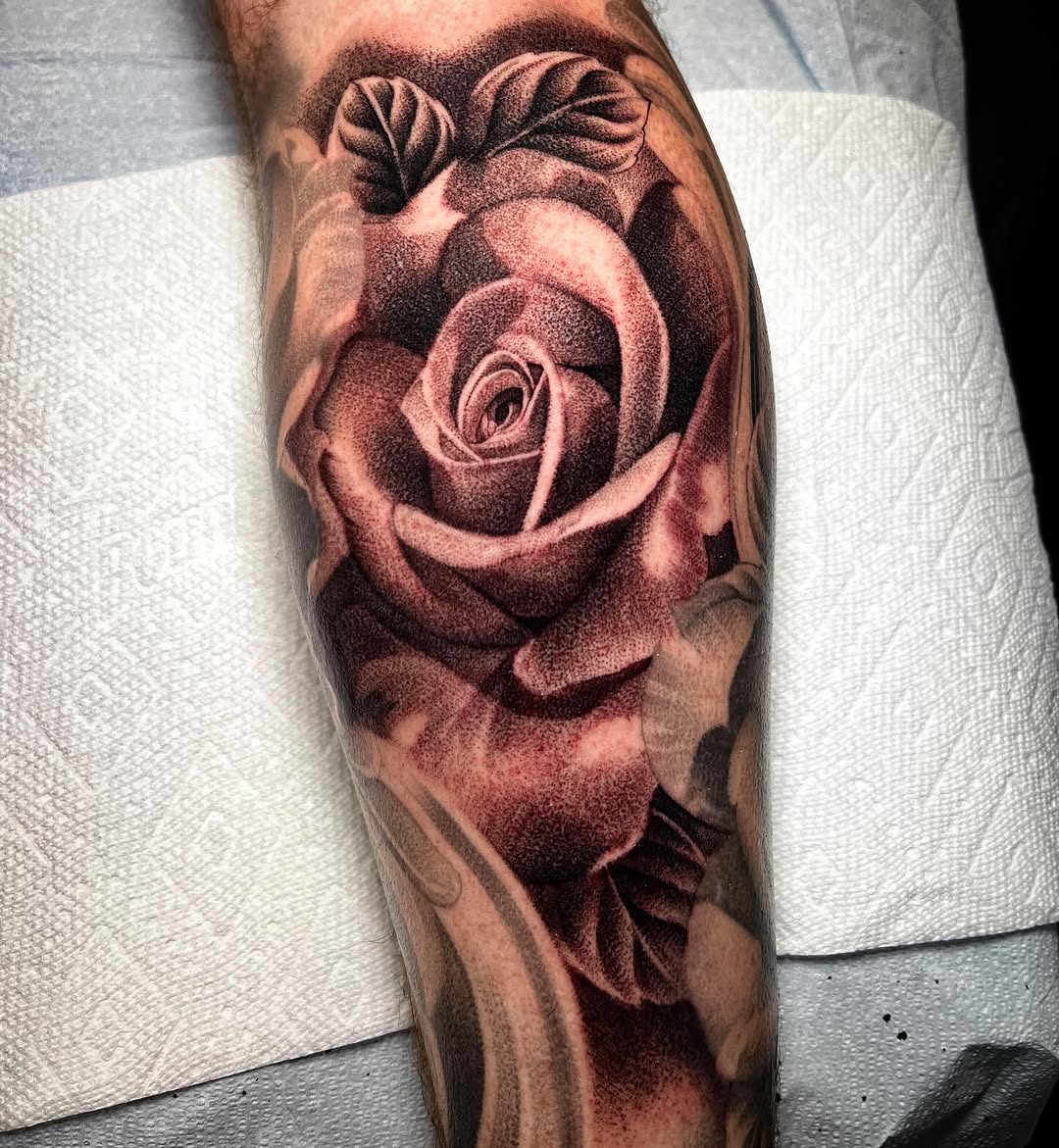 Flower, Rose