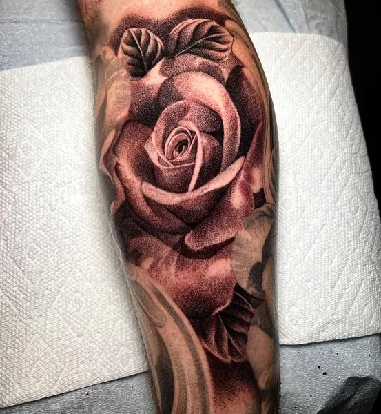 Flower, Rose