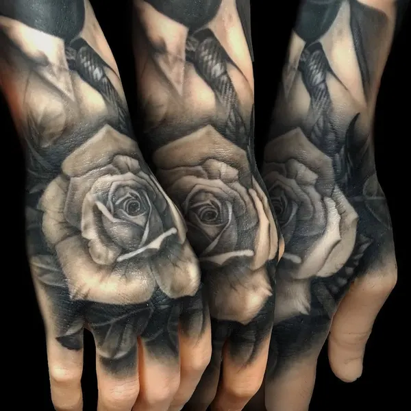 Flower, Rose