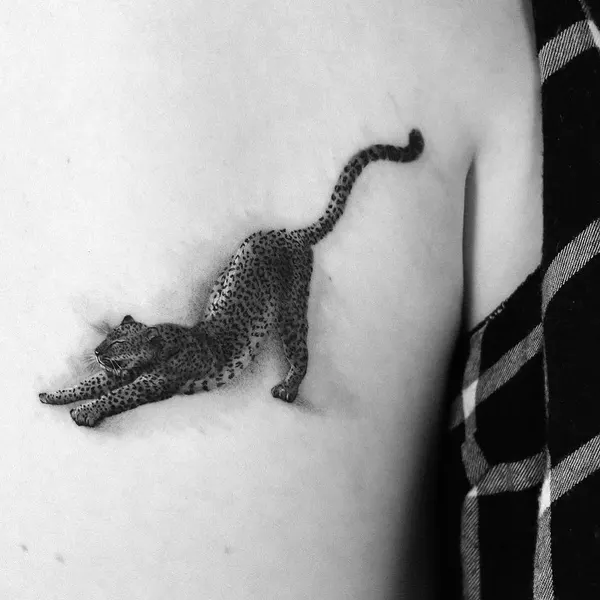 Animal, Tiger