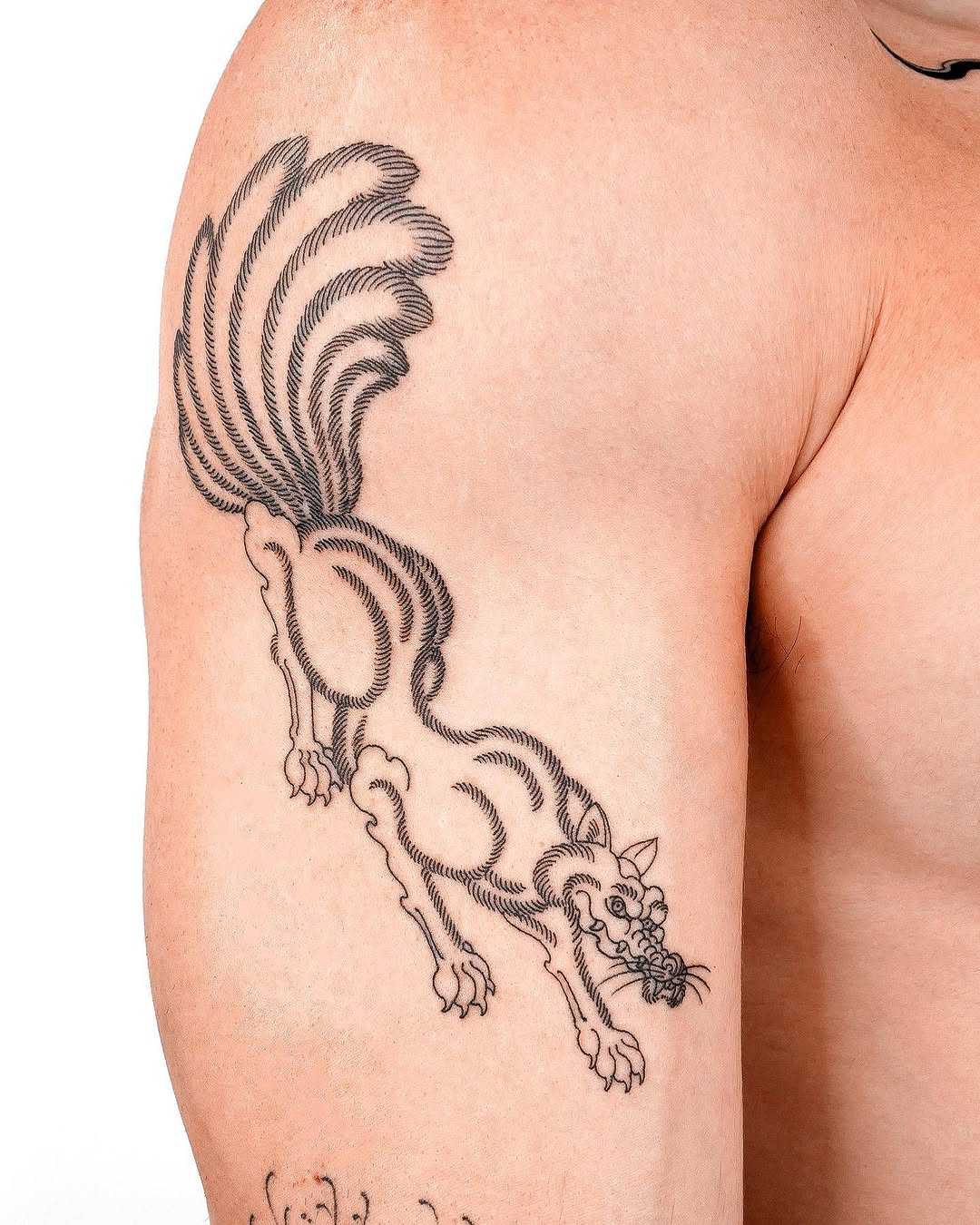 nobodytattoo