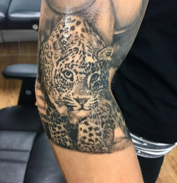 Animal