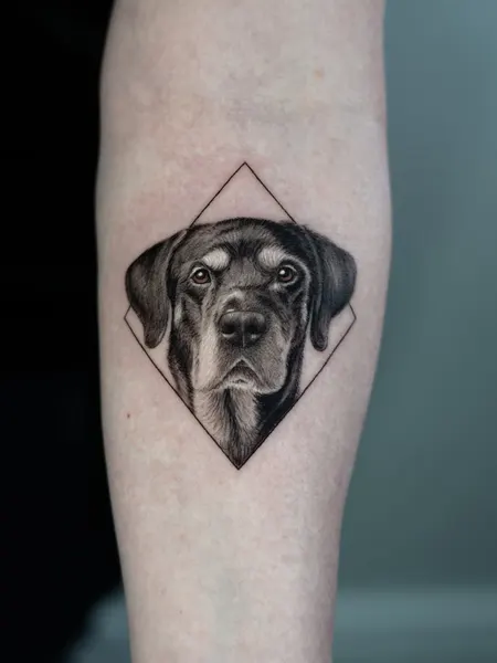 Animal