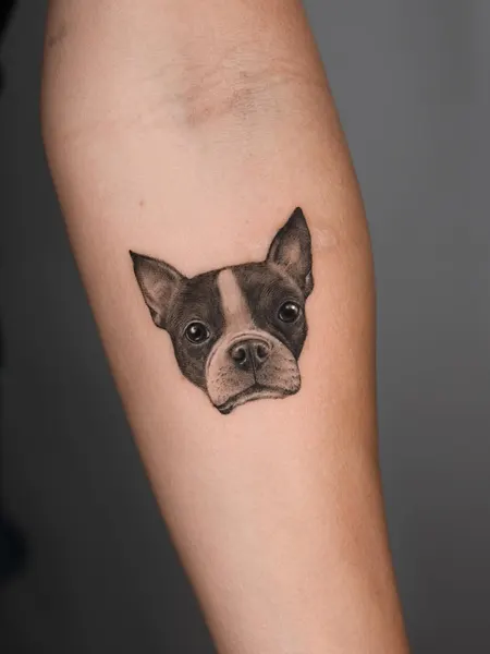 Animal