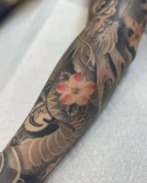 Dragon, Animal