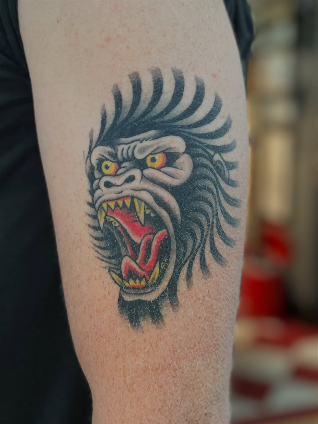 Animal, Tiger
