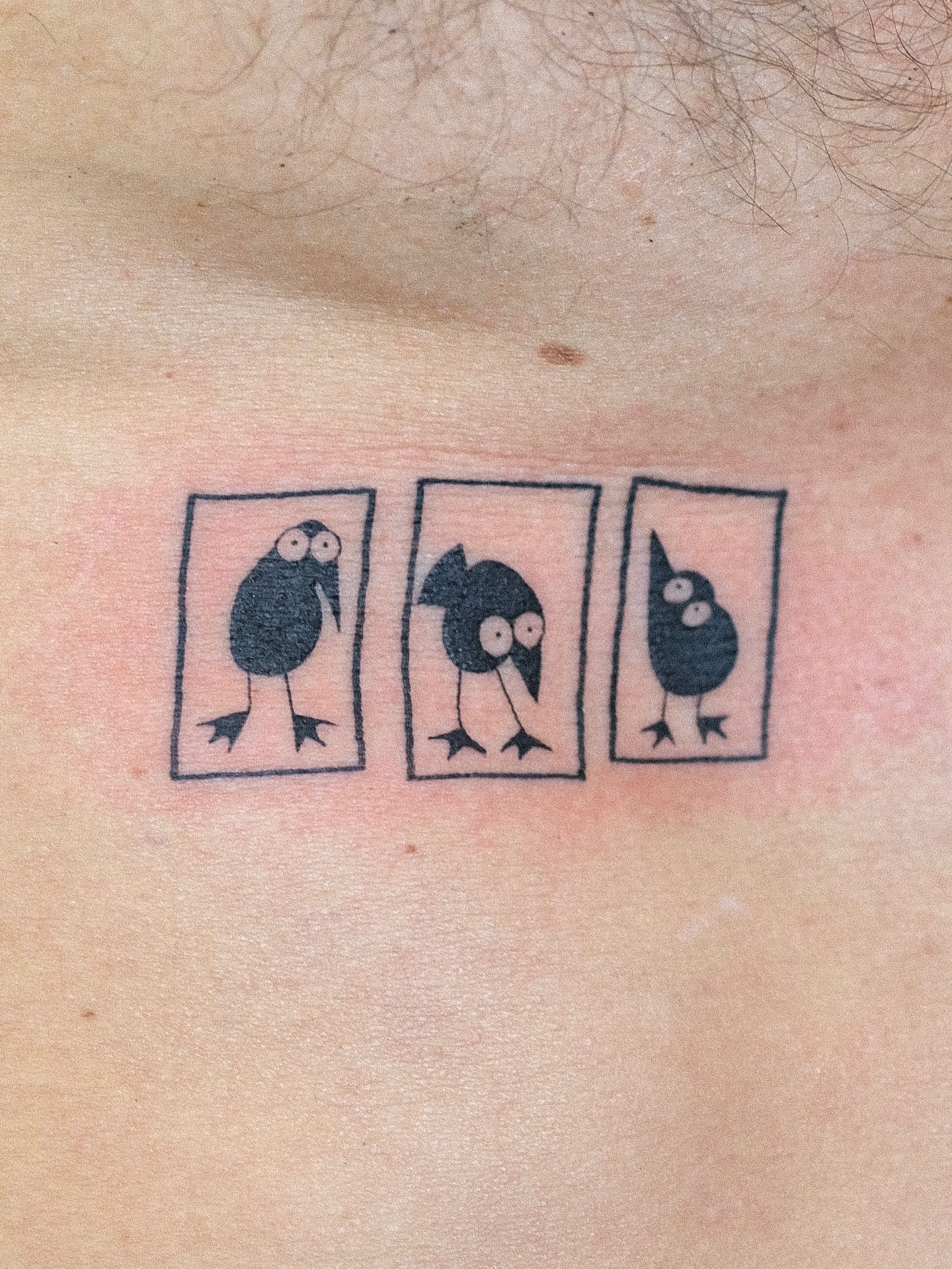 zik_tats