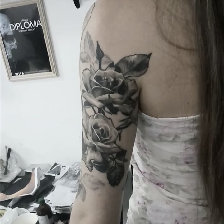 Flower, Rose, Nature