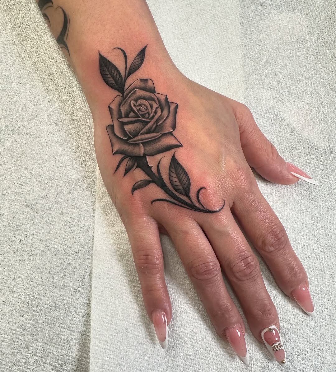 Flower, Rose