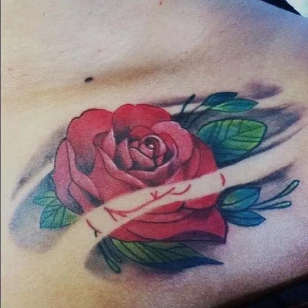 Flower, Rose