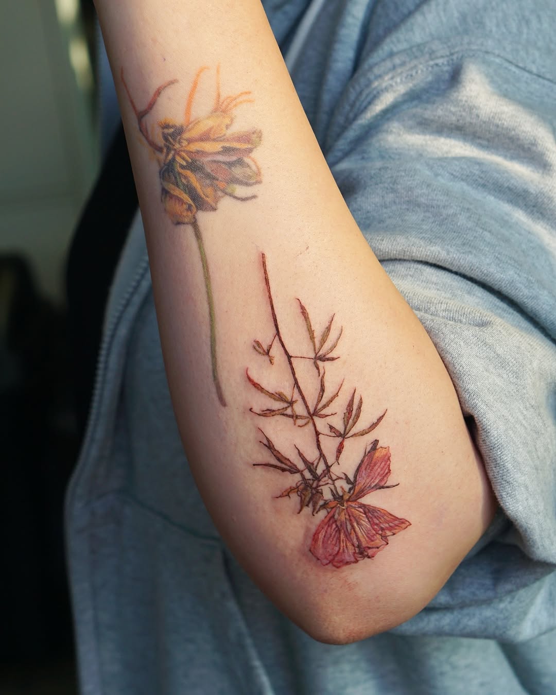 Flower, Rose