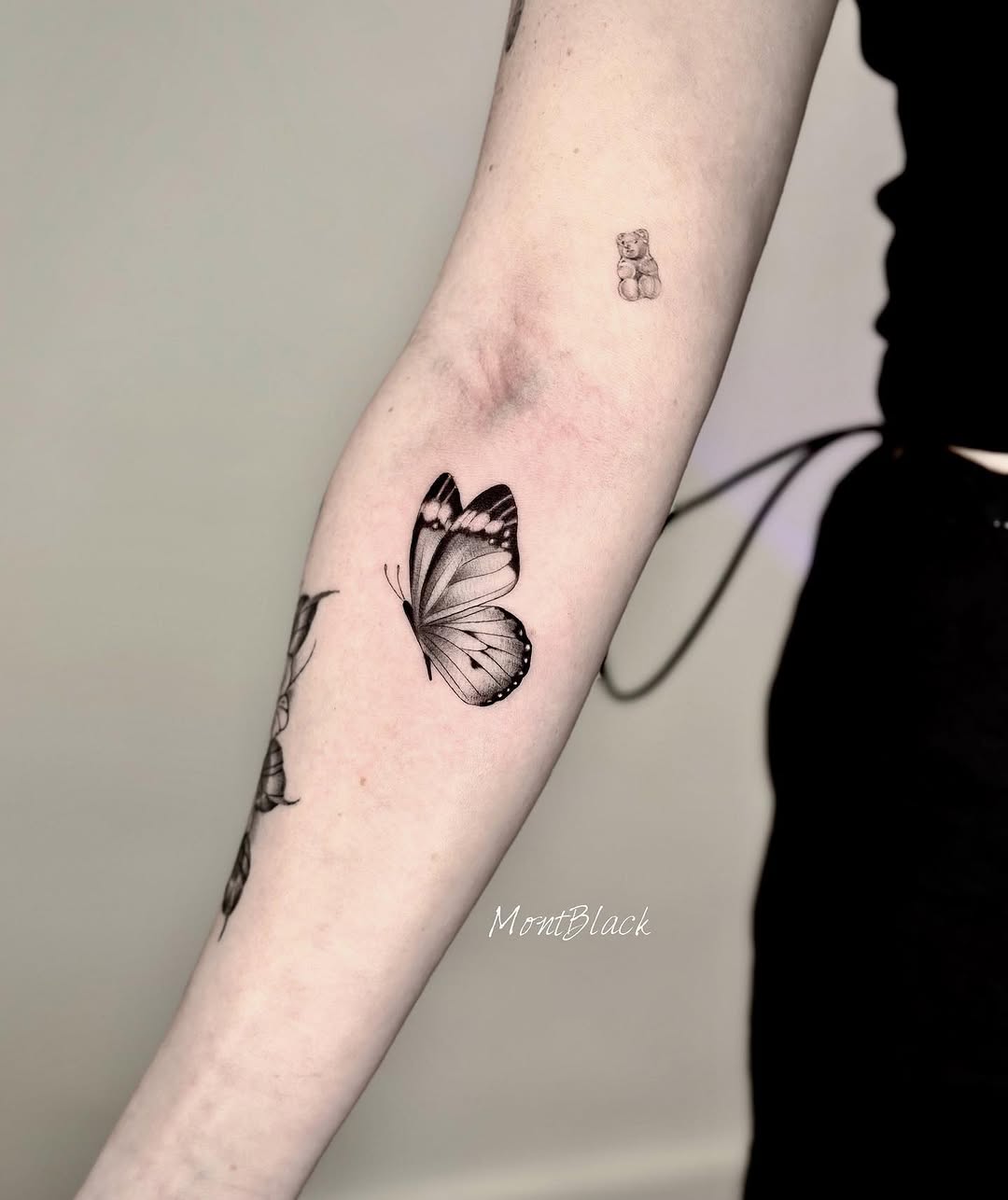 Animal, Nature