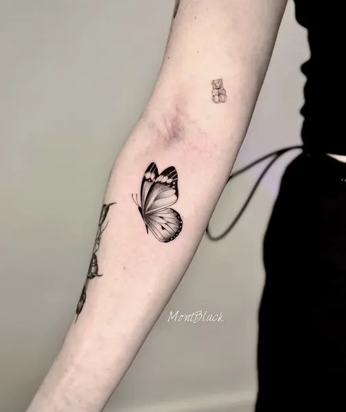 Animal, Nature