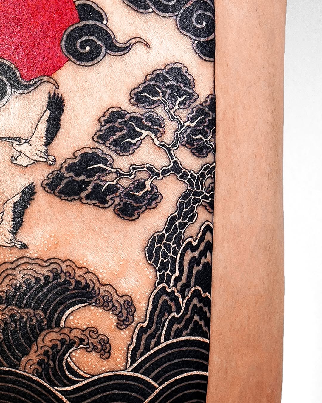 nobodytattoo