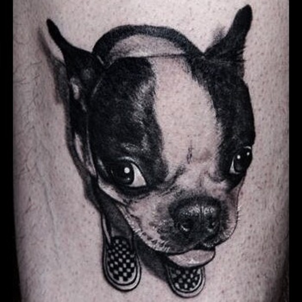 Animal