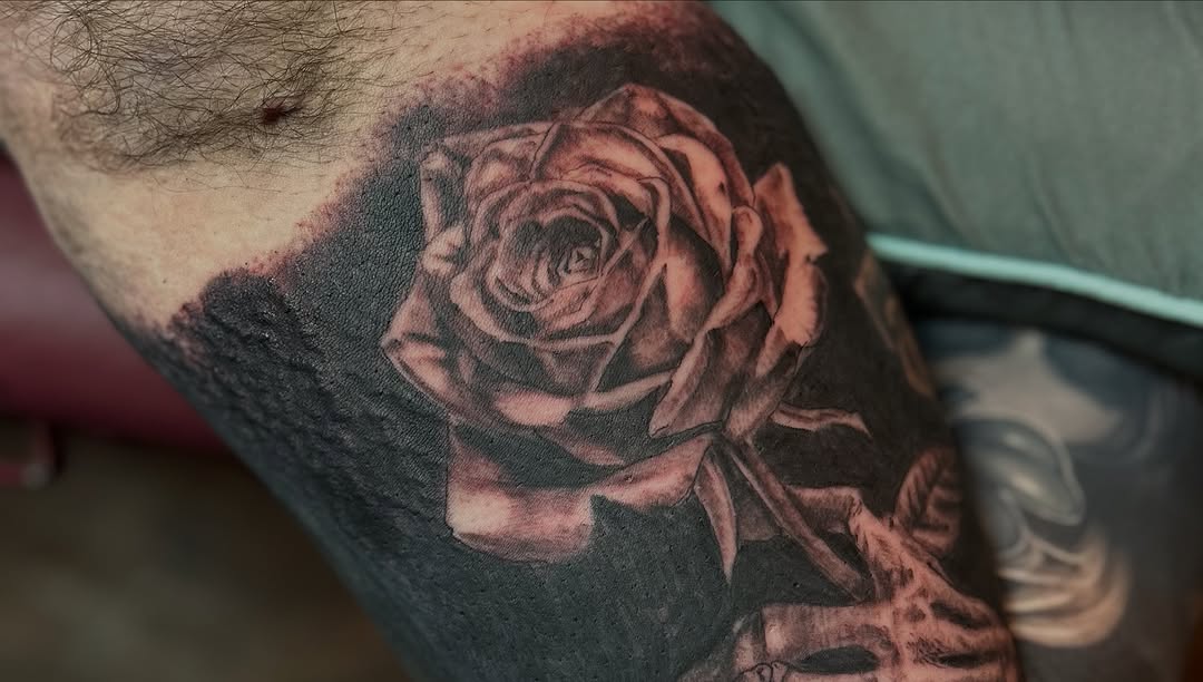 Flower, Rose