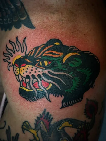 Tiger, Animal