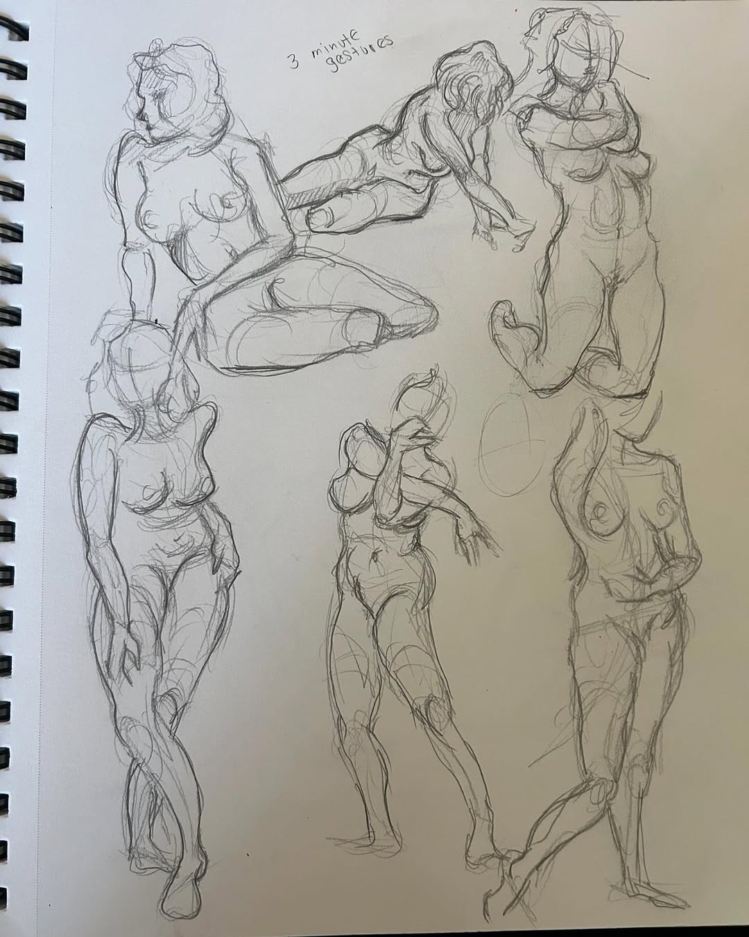 sarastigmata