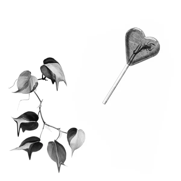 plantsnpokes