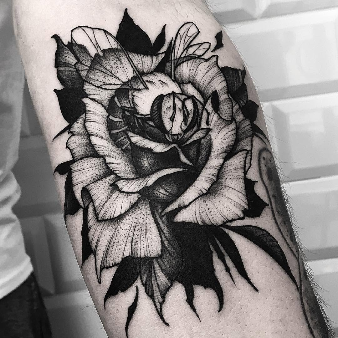 Flower, Rose
