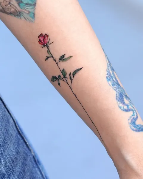 Rose, Flower