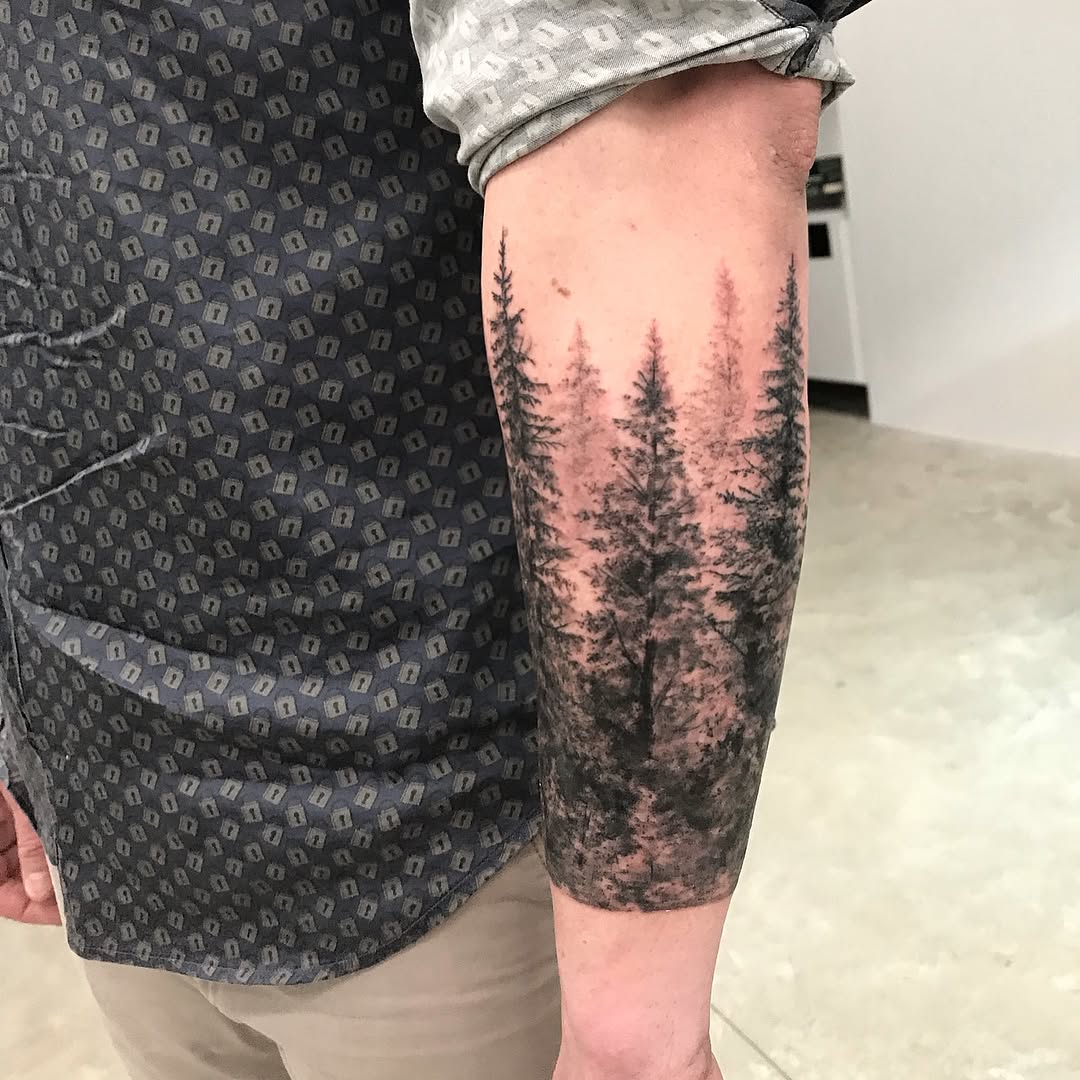 Nature, 숲, 소나무