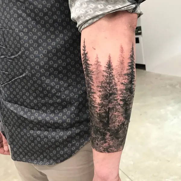 Nature, 숲, 소나무