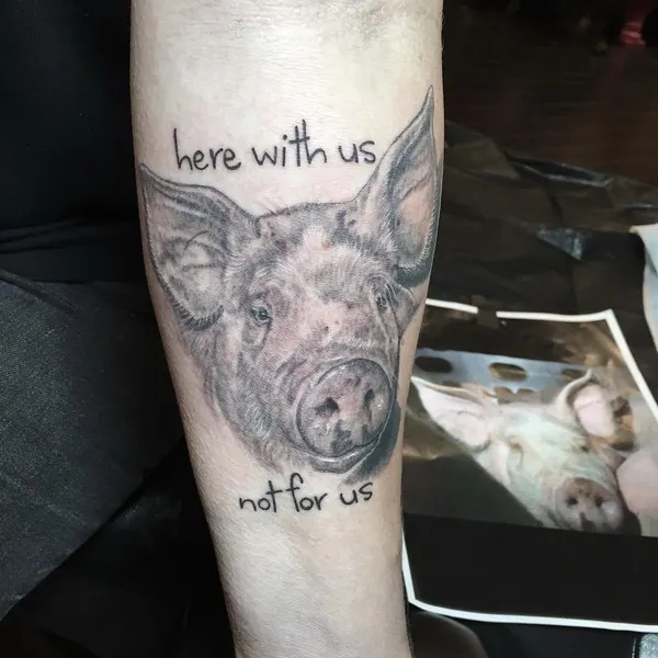 Animal