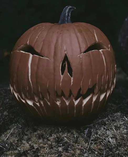 ryanmrray