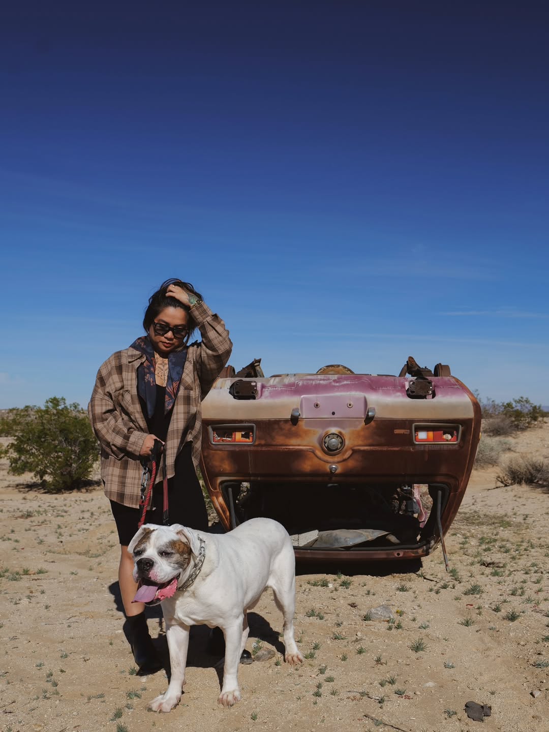 sherriaustria
