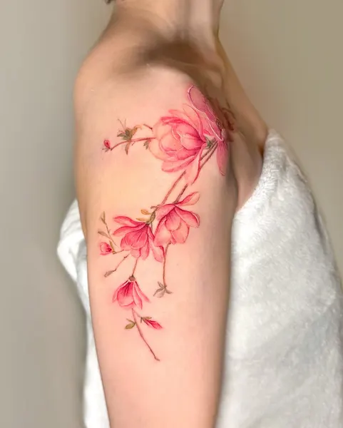 Flower, Rose, 벚꽃