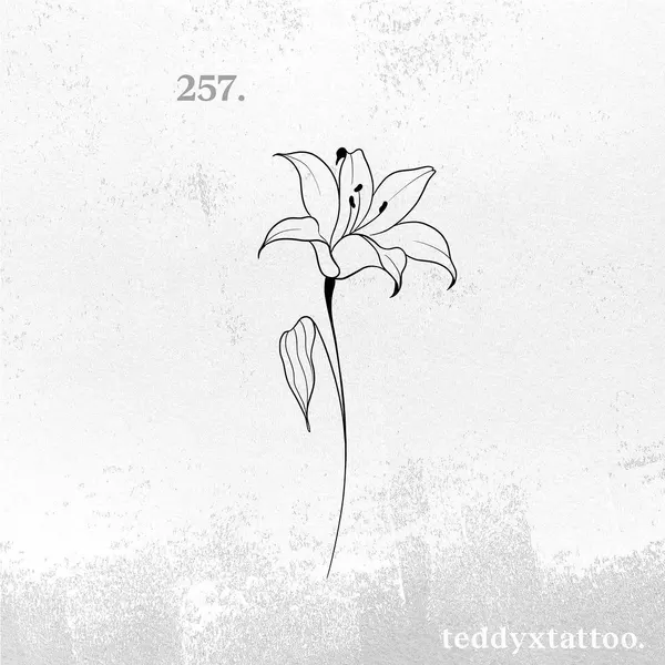 Flower, 모란, 백합, 난초, 튤립, 수선화, 아이리스