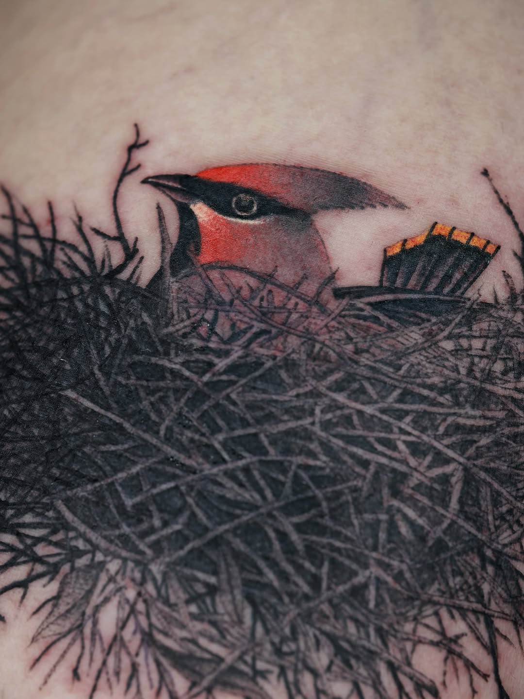 joshstephenstattoos