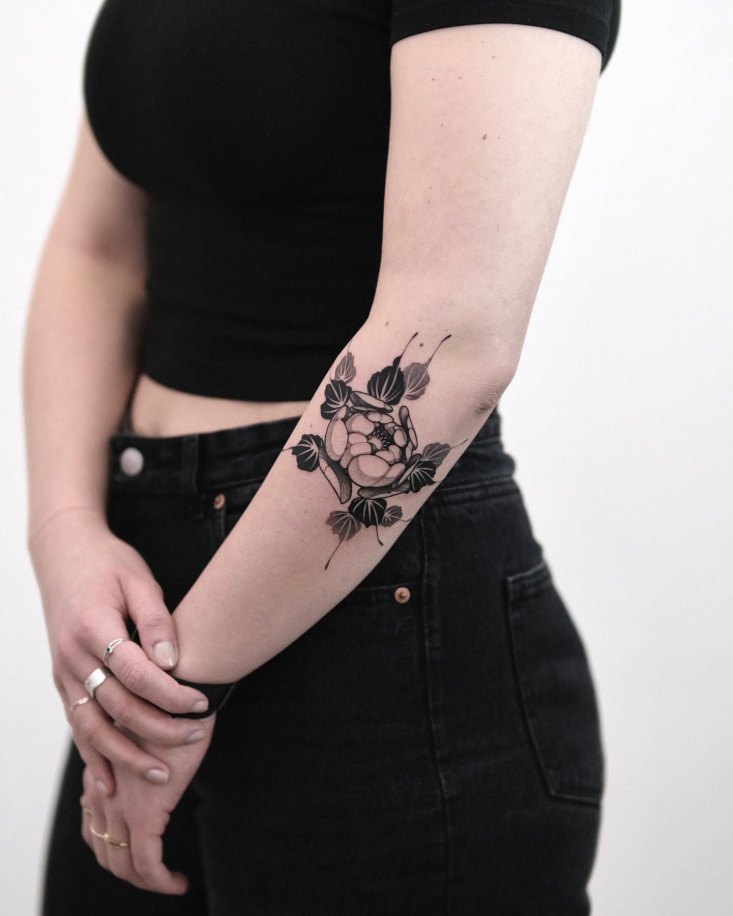 Flower, Rose
