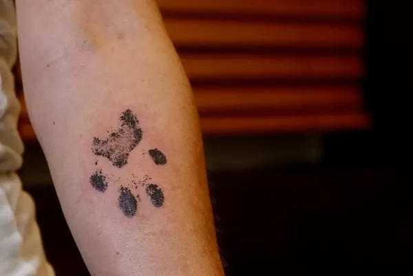 evantattoo