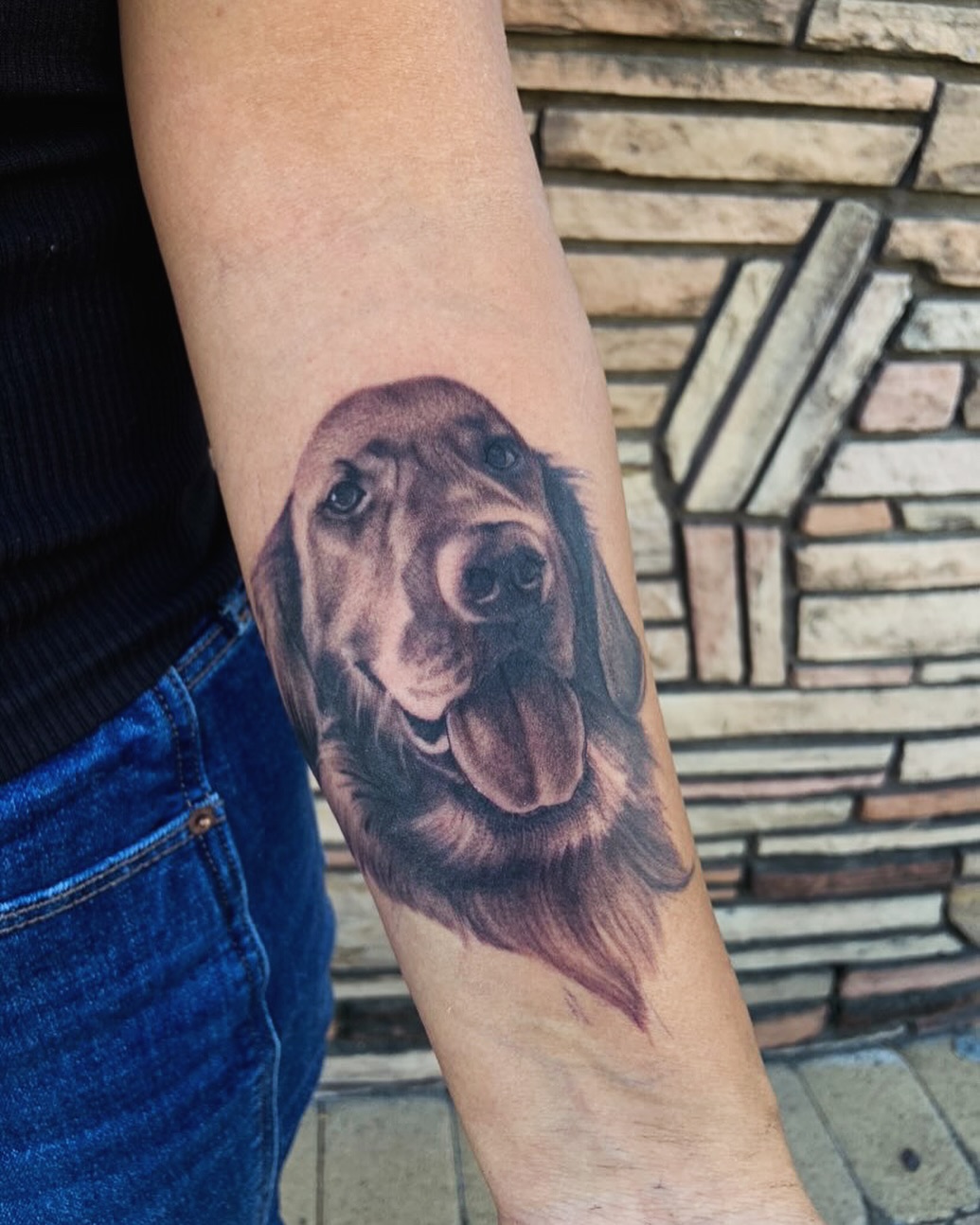 Animal