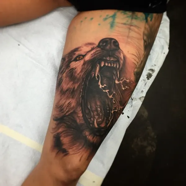 Animal