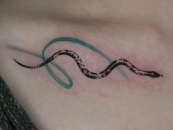 Dragon, 지네, 체인, Snake