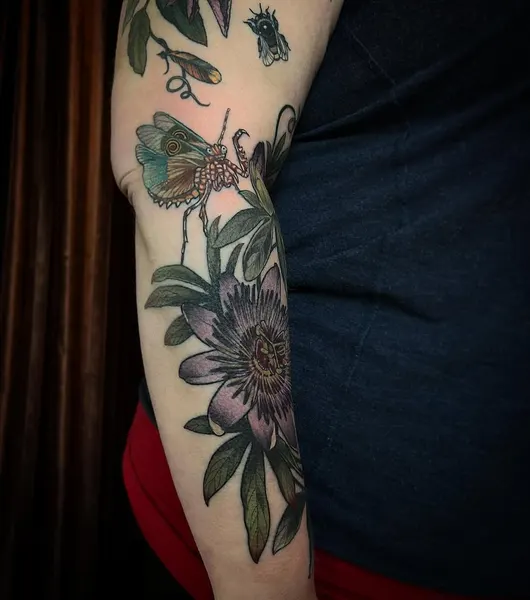 Flower, Rose, Animal