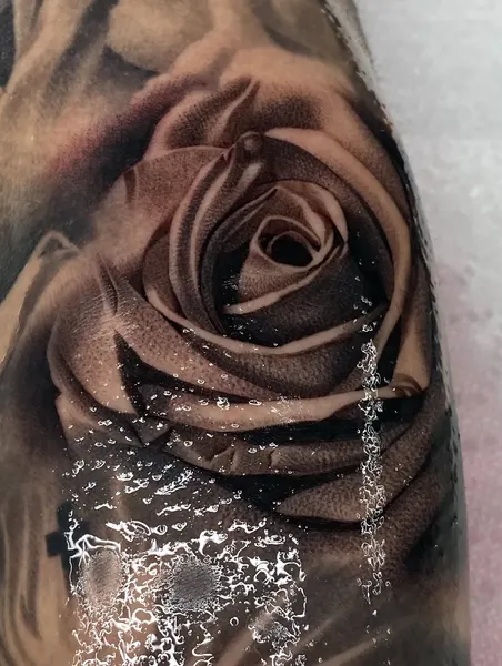 Flower, Rose