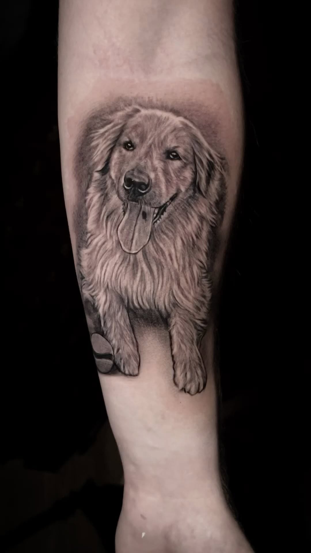 Animal